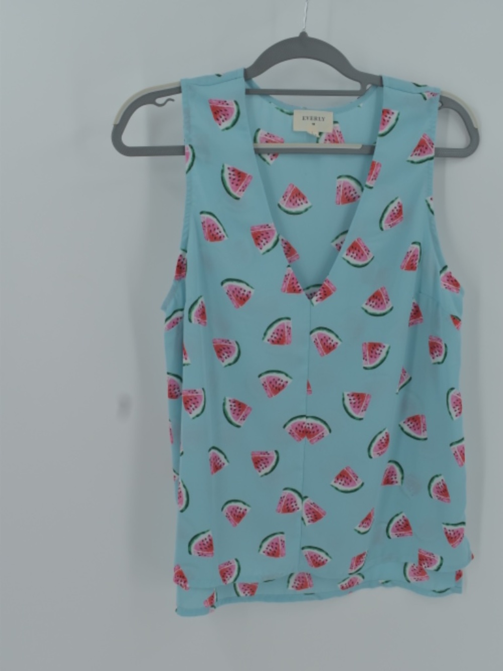 Everly Watermelon Print Sleeveless Tank Top V-Neck Light Blue Women's Size Large